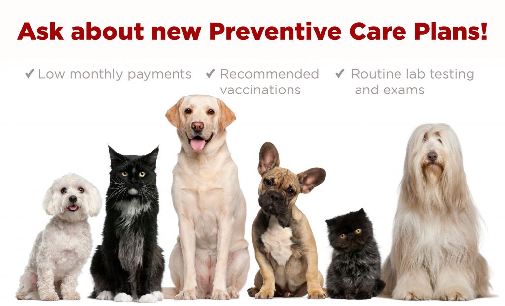 Ask about new preventative care plans: Low monthly payments, Recommended Vaccinations, Routine lab testing and exams!