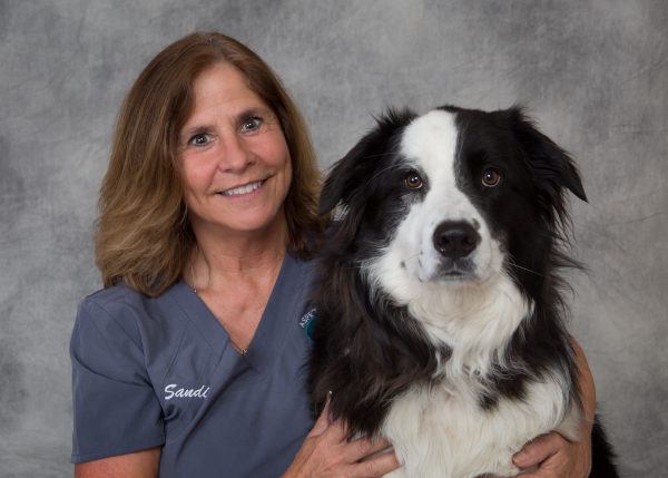 Sandi, Lead Veterinary Technician